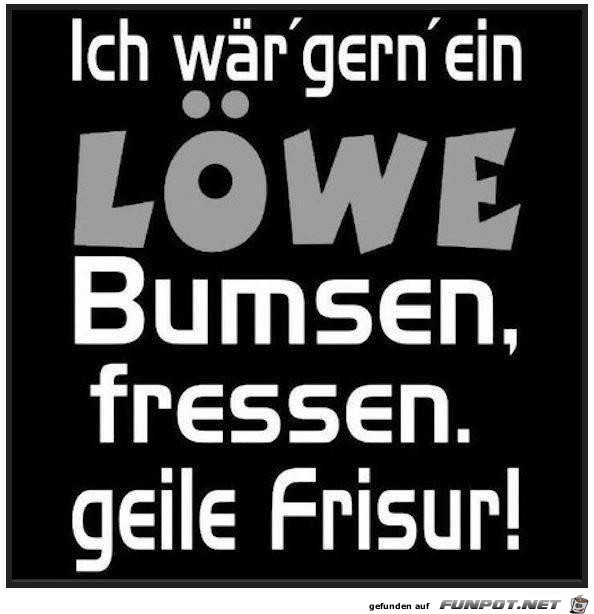 ich-waer-gern-ein-loewe ich-waer-gern-ein-loewe