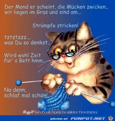 schlaf mal schoen