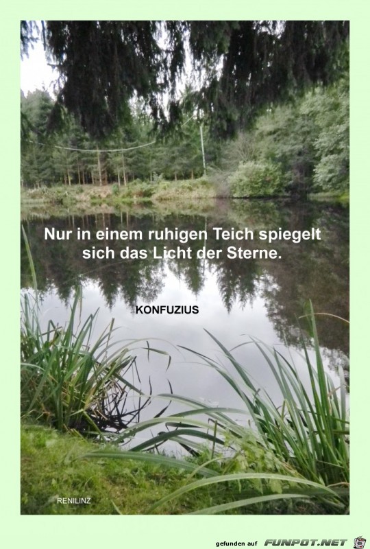 Nur in einem ruhigen Teich