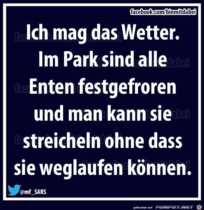 Wetter