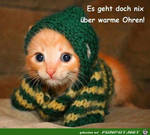 ohren ohren