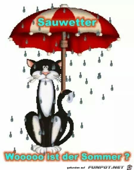 Sauwetter Sauwetter
