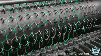 chicken wire chicken wire