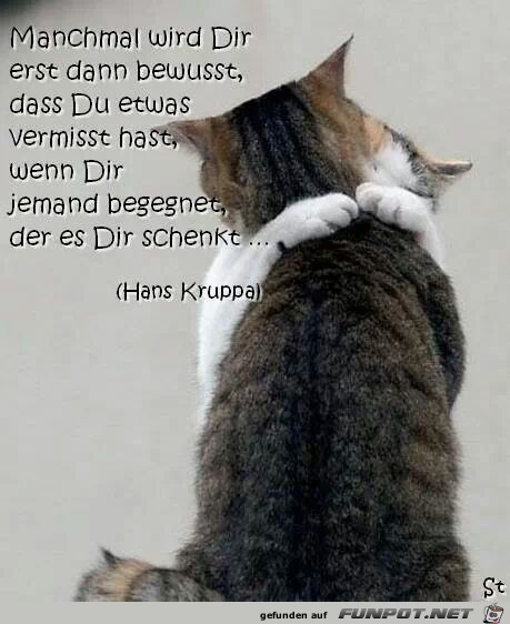 Manchmal wird Dir... Manchmal wird Dir...
