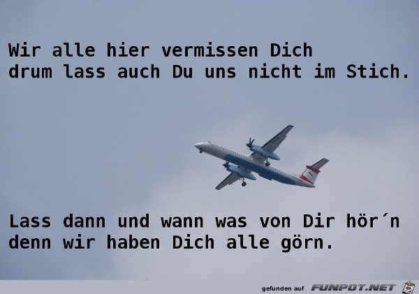 Spruch Alle Vermissen Dich