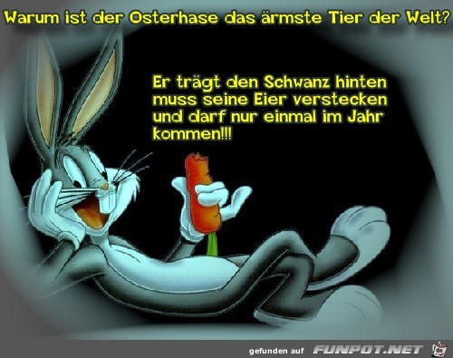 witzige Bilder zu Ostern