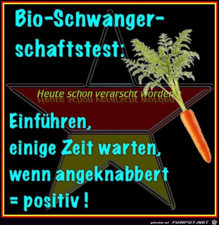 Schwangerschaftstest