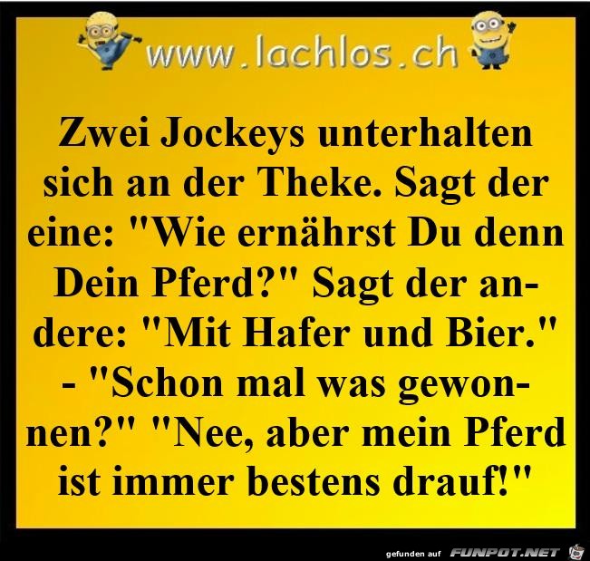 immer gut drauf immer gut drauf