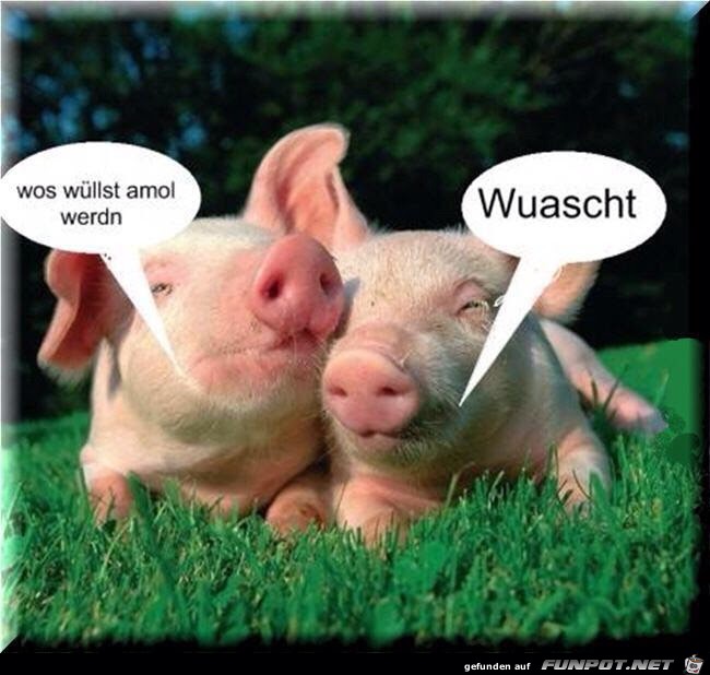 wurst