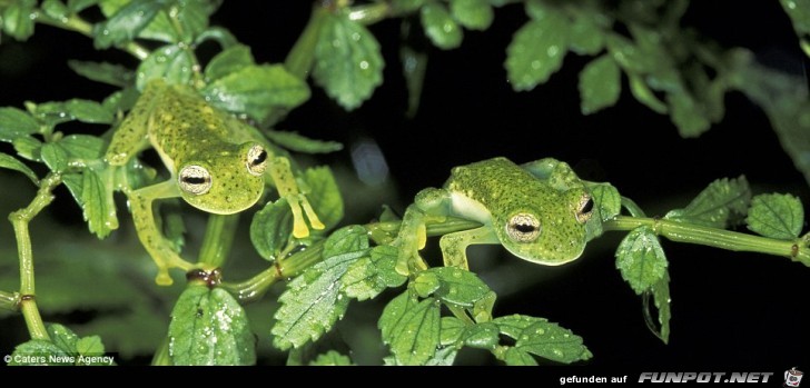 image016 image016