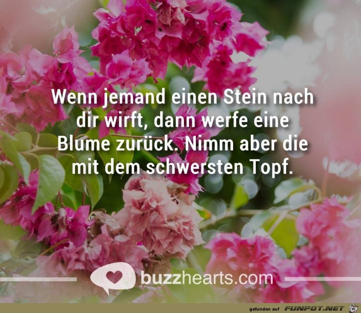 blume