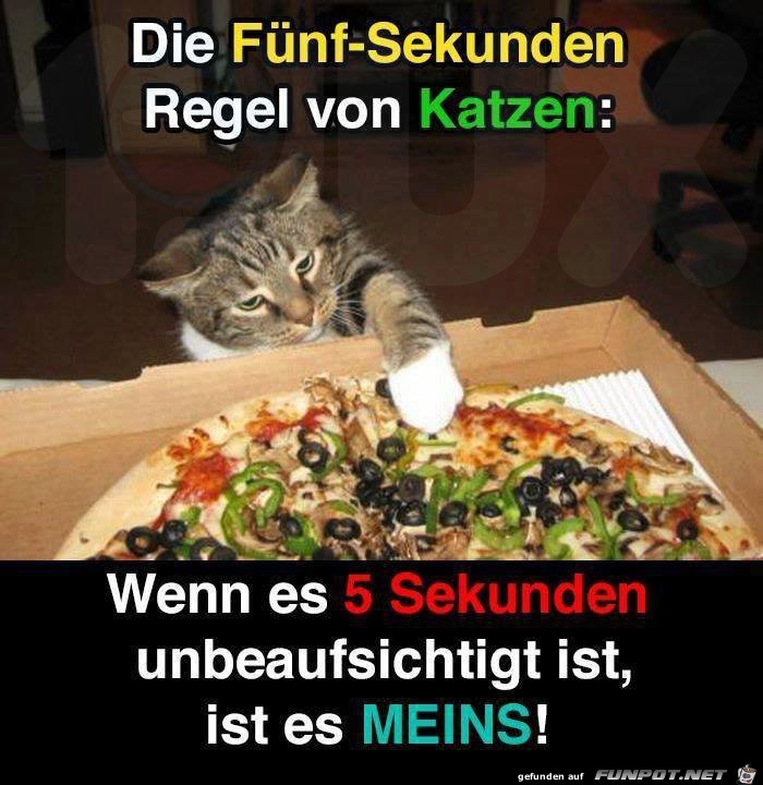 5-Sekunden-Regel 5-Sekunden-Regel