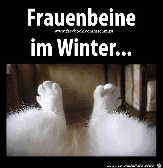 Frauenbeine Frauenbeine