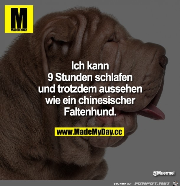 9 Stunden