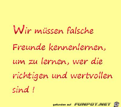 Falsche Freunde