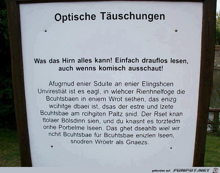Hirn Hirn