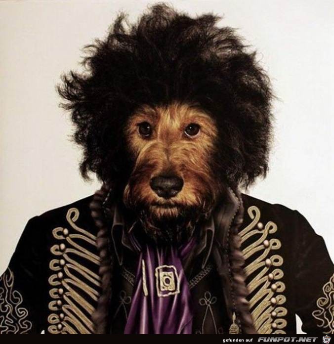 Jimi Hendrix Jimi Hendrix