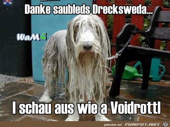 Drecksweda Drecksweda