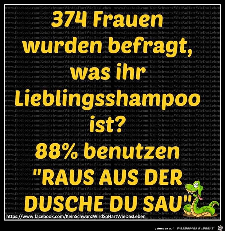 Lieblingsshampoo Lieblingsshampoo