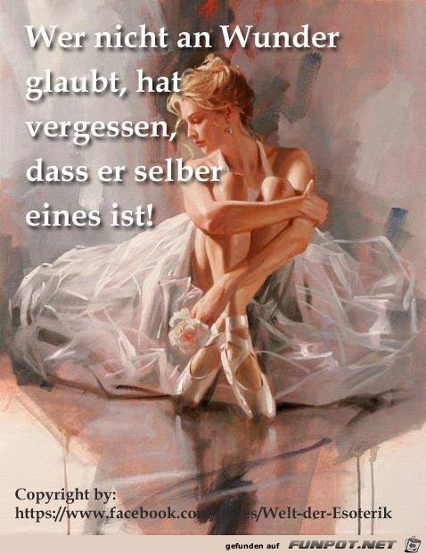 Wer nicht an Wunder glaubt Wer nicht an Wunder glaubt
