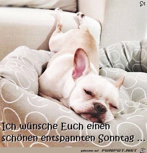 entspannter Sonntag