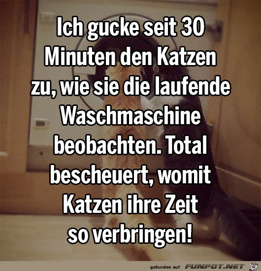 beobachten beobachten