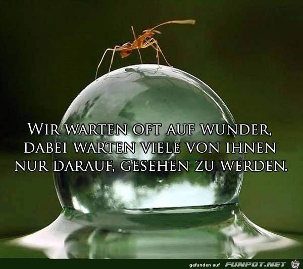 Wir warten oft auf Wunder