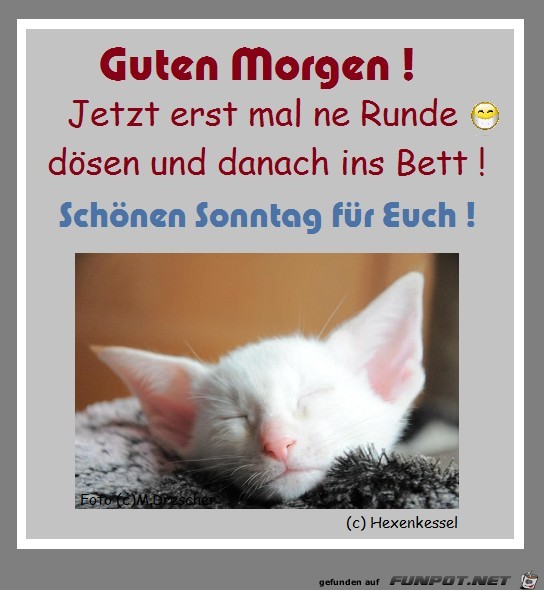 Guten Morgen- 