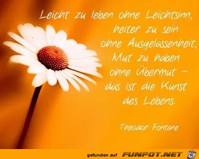 Leicht