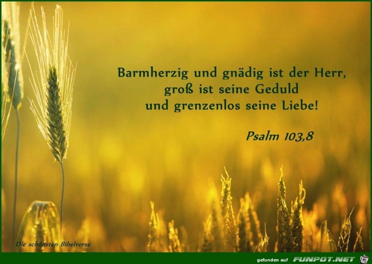 Psalm 103.8