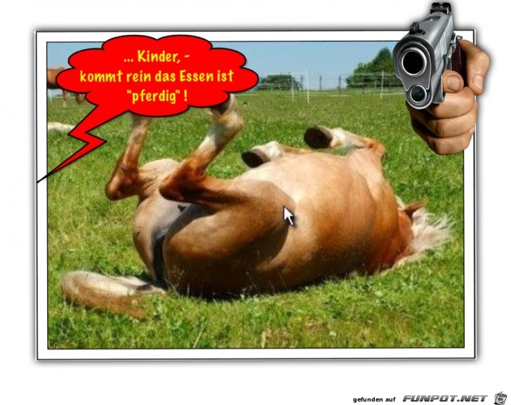 Einmal hin alles drin Einmal hin alles drin