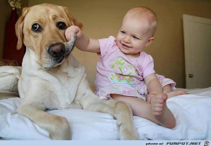 nette Bilder von Familienhunden!