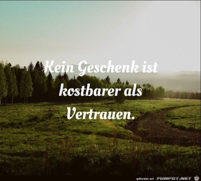 vertrauen vertrauen
