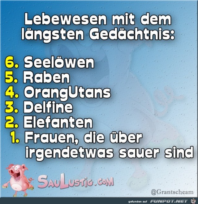 Das-laengste-Gedaechtnis