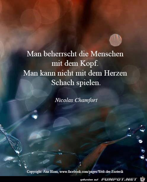 Mit den Kopf Mit den Kopf