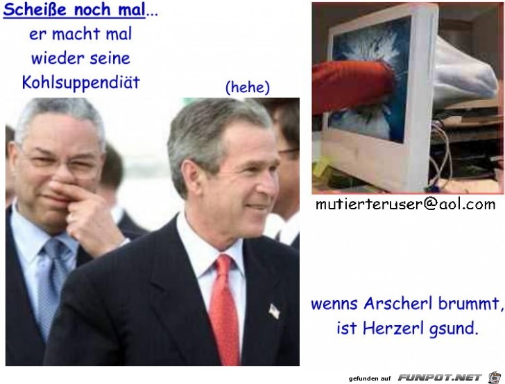 Arschlochpraesident Arschlochpraesident