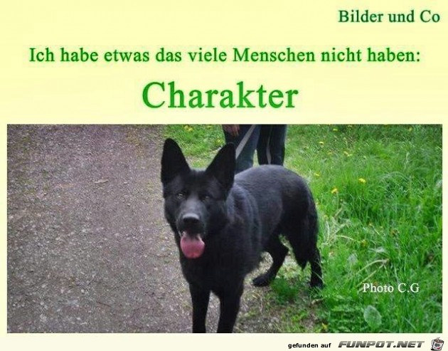 Charakter Charakter