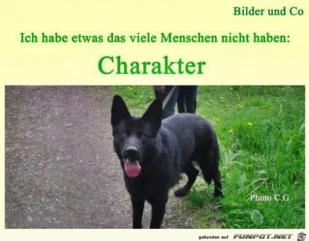 Charakter