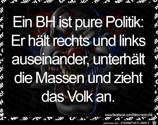 Pure Politik Pure Politik