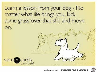 14 - lesson from dog 14 - lesson from dog