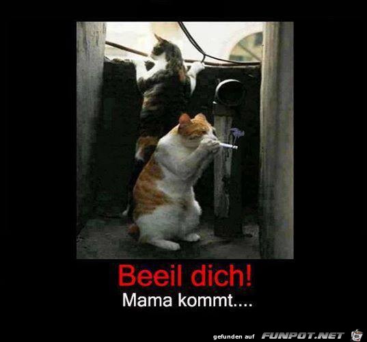 Beeil Dich...