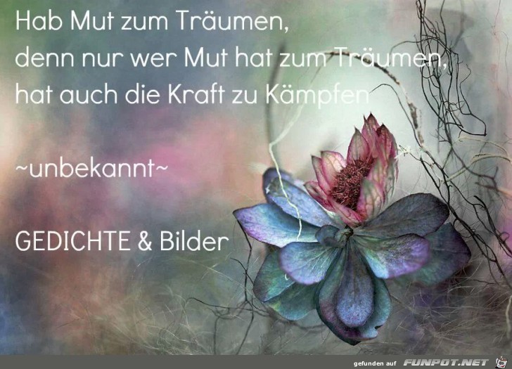 Hab Mut zum Träumen... Hab Mut zum Träumen...