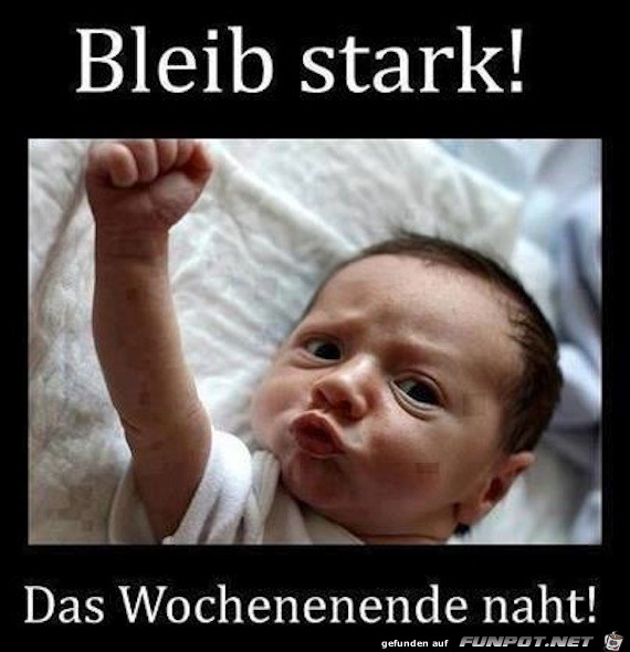 Bleib stark