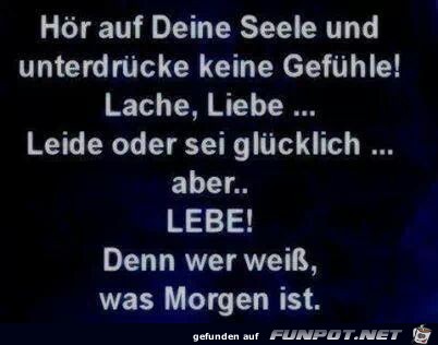 Hör auf Deine Seele... Hör auf Deine Seele...