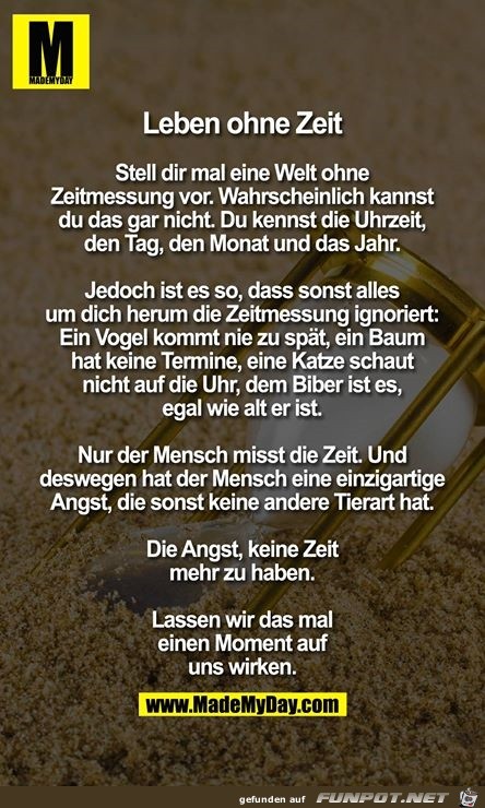 Leben ohne Zeit Leben ohne Zeit