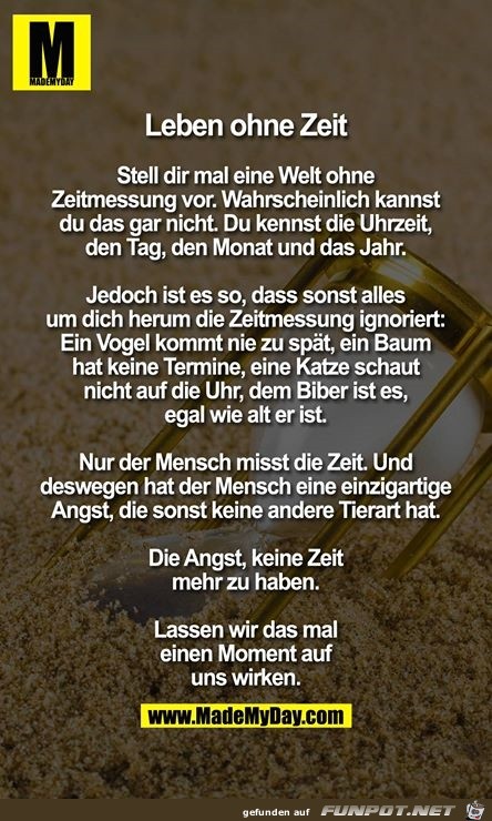 Leben ohne Zeit