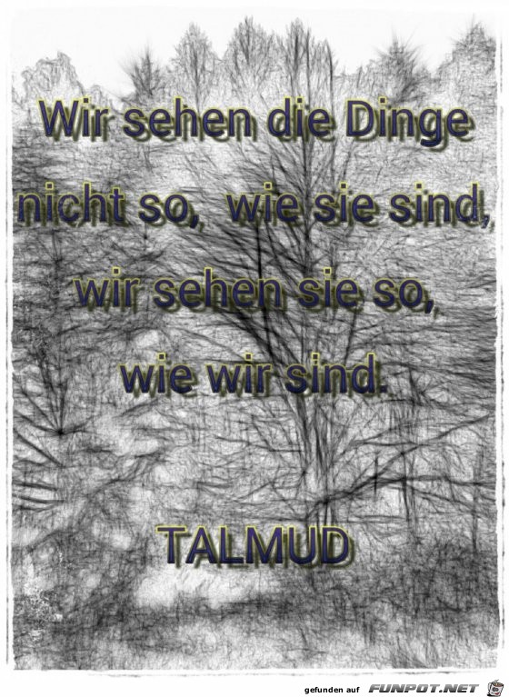 wir sehen die Dinge wir sehen die Dinge