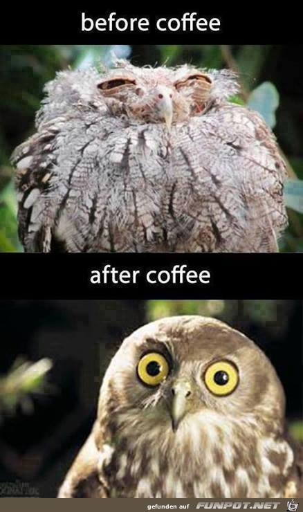 Kaffee veraendert einen