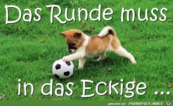 das runde das runde