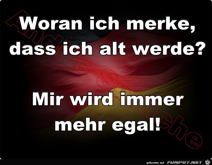 Alt werden Alt werden